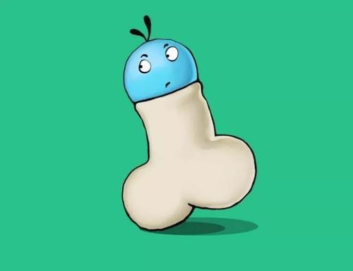 Ƥʱָ