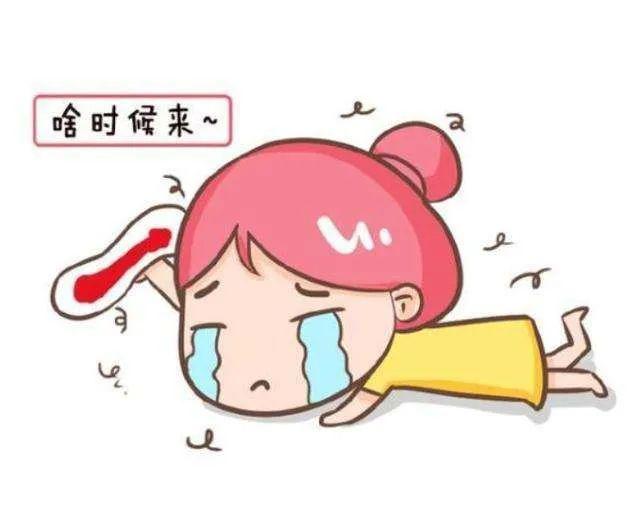 ¾ʱָ