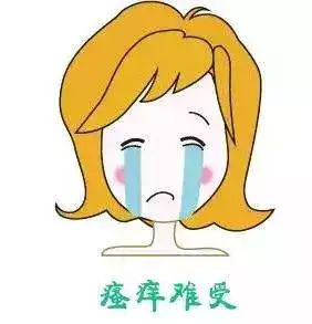 Ƶָ
