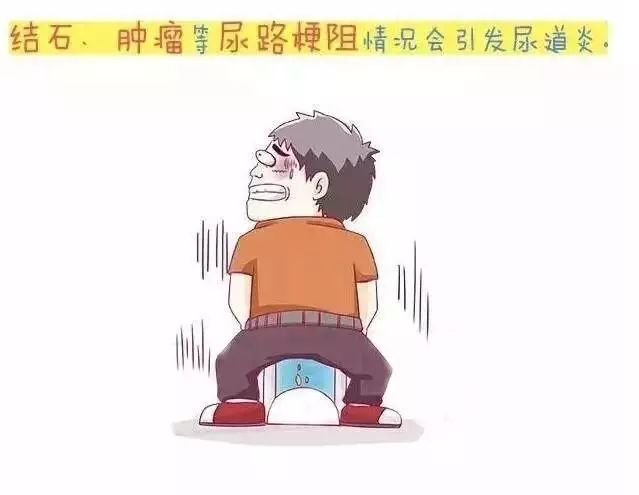 ׼Ƶ